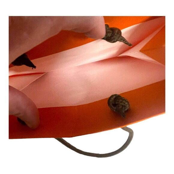 Authentic Hermes Orange Paper Gift Bag Purse Storage With Handles 8.25 X 11.25 - Picture 4 of 6